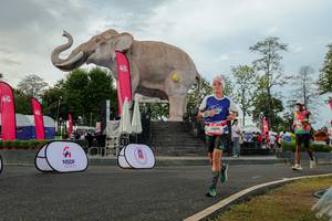 BIB: 
                            <button type="button" onclick="openModal(26528501)" class="btn btn-primary btn-sm float-right btn-popup" data-toggle="modal" data-target=".modal-high-quality">
                        <i class="fas fa-shopping-cart"></i> Add to Cart
                    </button>
                                            <button type="button" onclick="isThisMe(26528501, true)" class="btn btn-success btn-sm float-right btn-popup btn-isme hidden" data-toggle="tooltip" data-placement="bottom" title="นี่คือรูปของคุณใช่ไหม คลิกที่นี่เพื่อเอาเข้าอัลบั้ม">
                        <i class="fas fa-plus"></i> Add to album
                    </button>
                    <button type="button" onclick="isThisMe(26528501, false)" class="btn btn-warning btn-sm float-right btn-popup btn-isnotme hidden">
                        <i class="fas fa-ban"></i> Remove from album
                    </button>